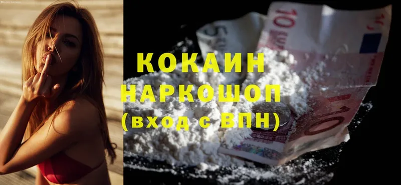 купить закладку  Кяхта  Cocaine Fish Scale 