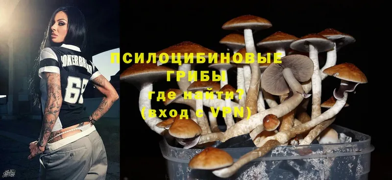 Галлюциногенные грибы MAGIC MUSHROOMS  Кяхта 